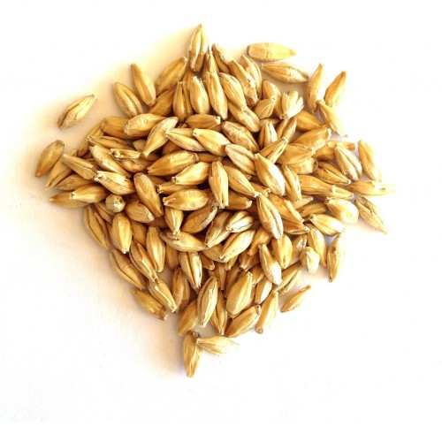 Whole Barley