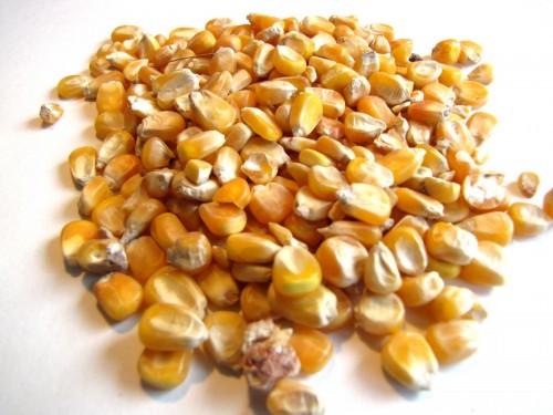 Whole Maize